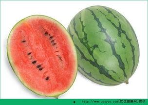 吃瓜过敏皮疹,揭秘过敏源与应对策略  第2张